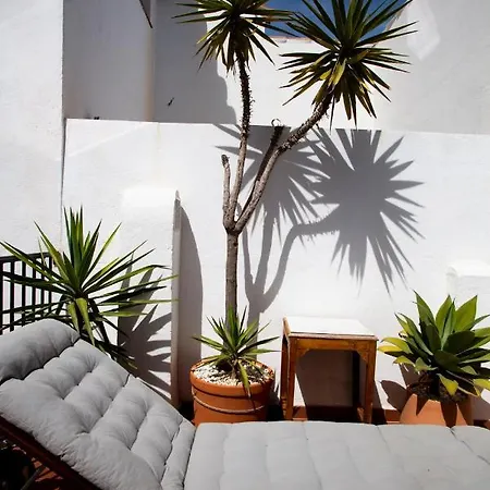 Apartamento Palm House 10